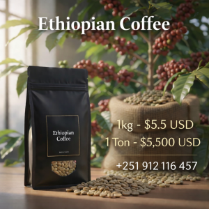 ChatGPT Image Feb 2, 2026, 10_51_31 AM