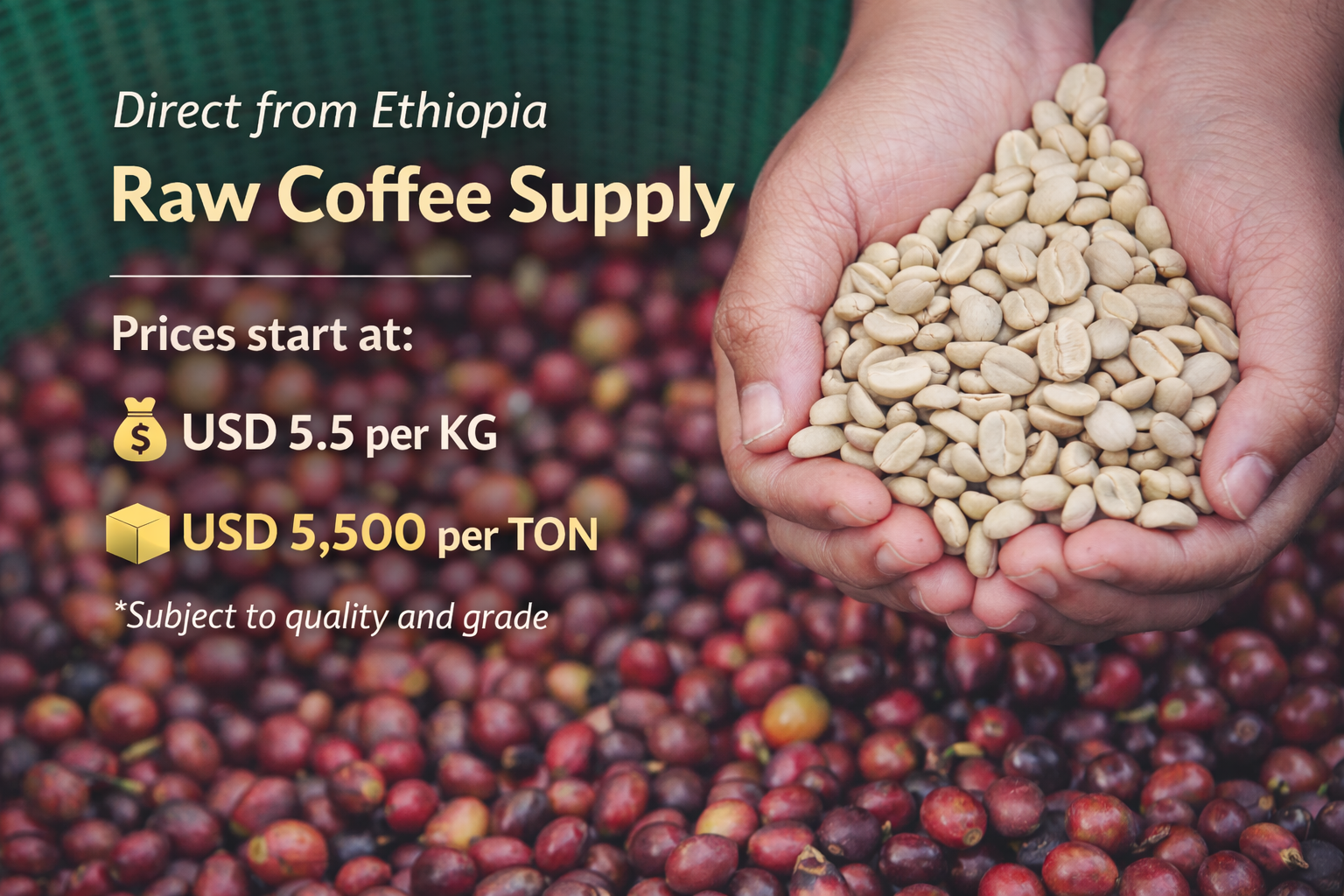 ChatGPT Image Feb 2, 2026, 10_52_13 AM